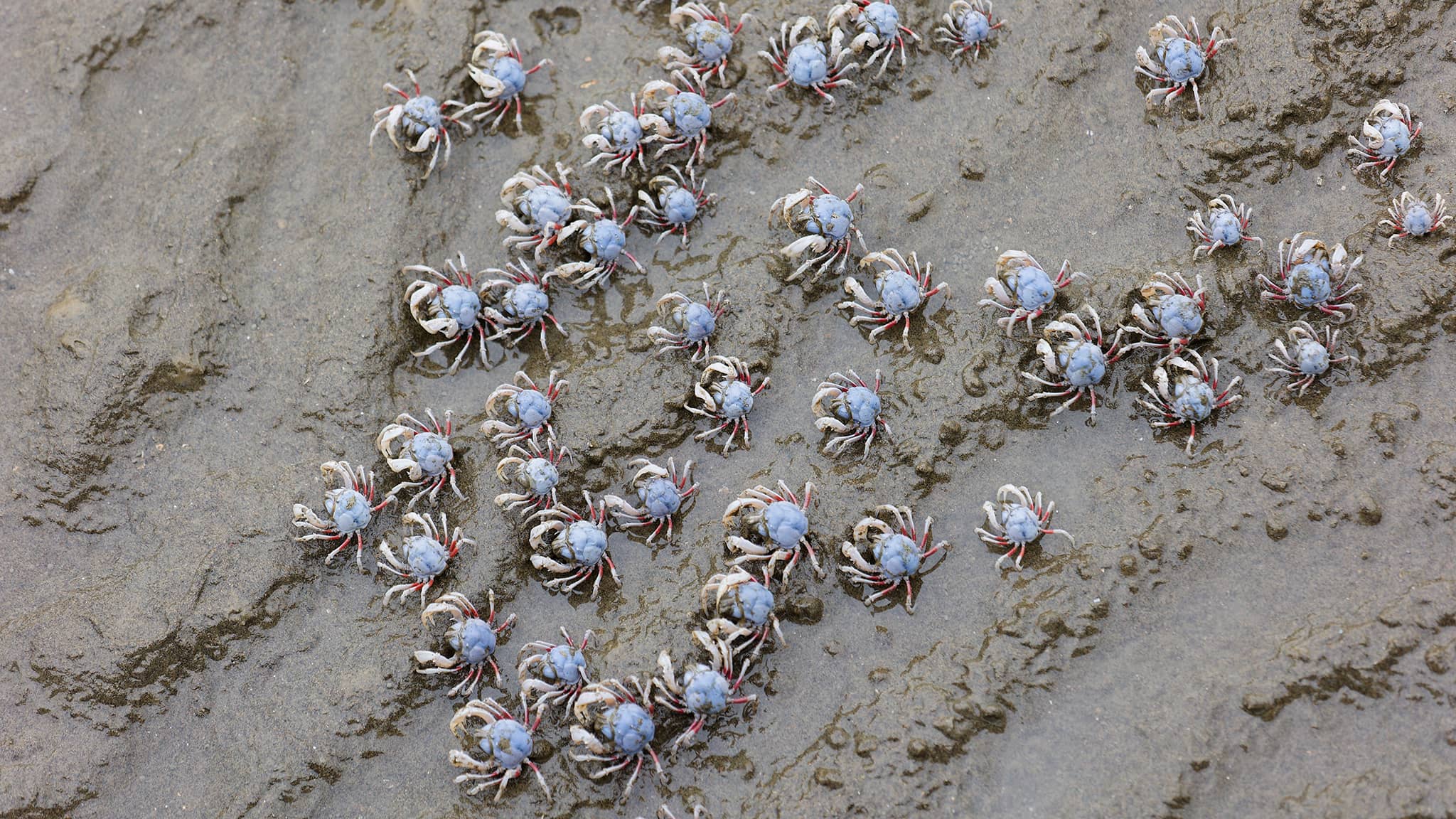 02 - Taichung Est (9) Xiangshan District.jpg